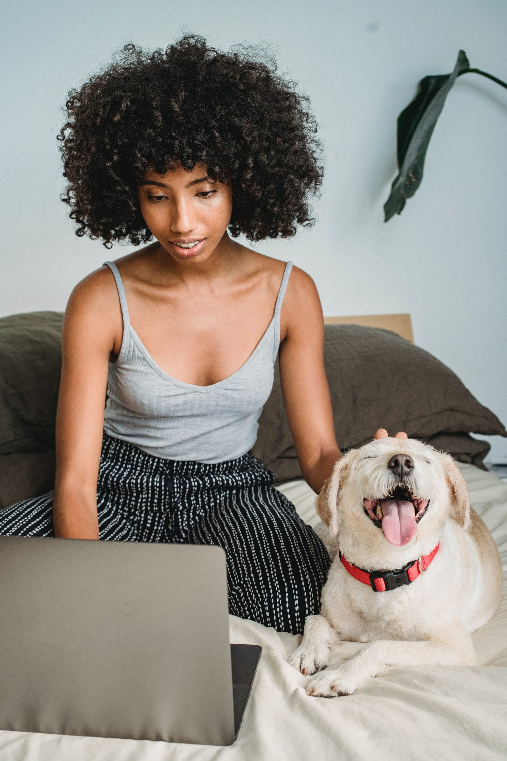 happy dog sitting next to human on laptop